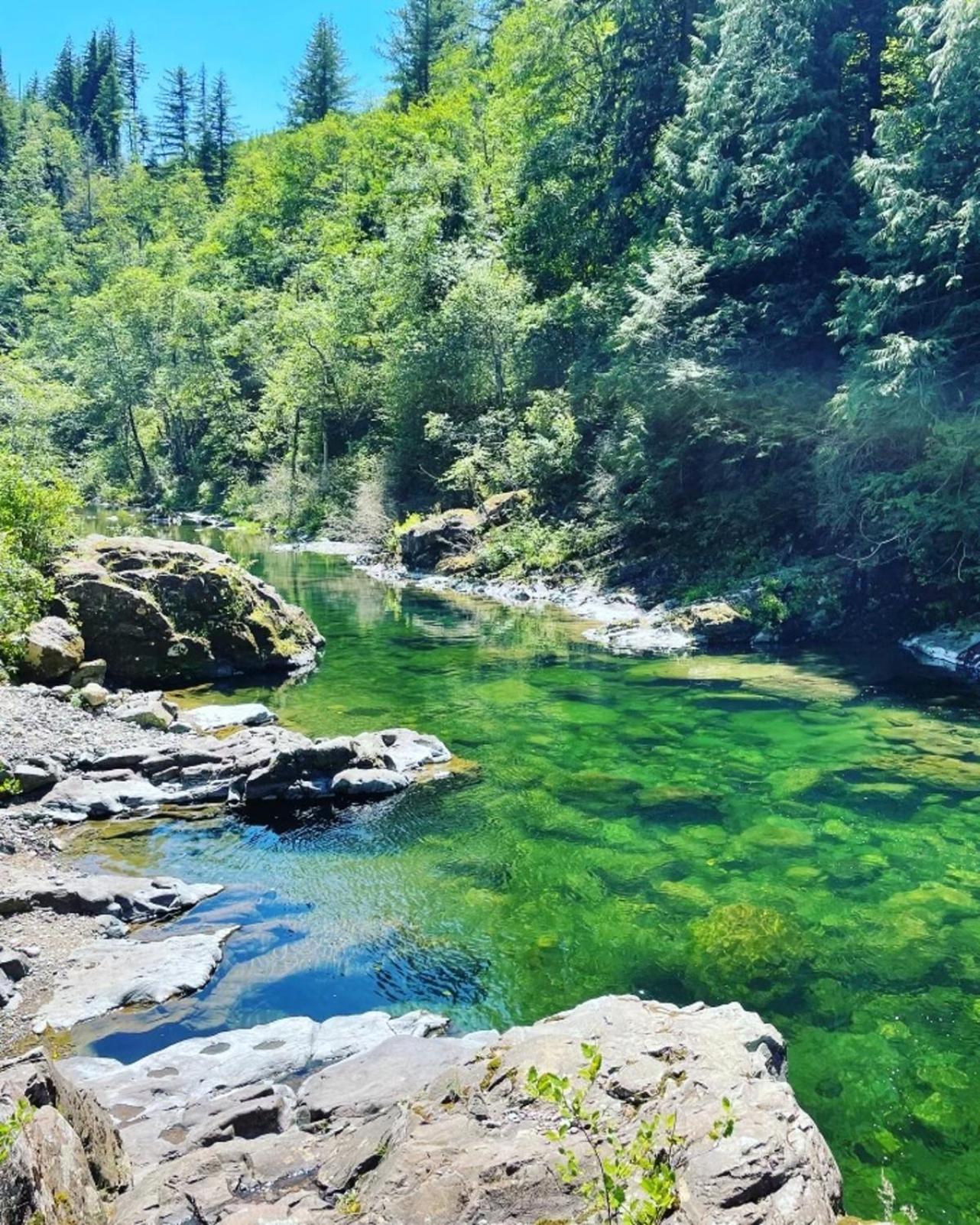 Gorgeous Gateway To The Columbia River Gorge Washougal Εξωτερικό φωτογραφία