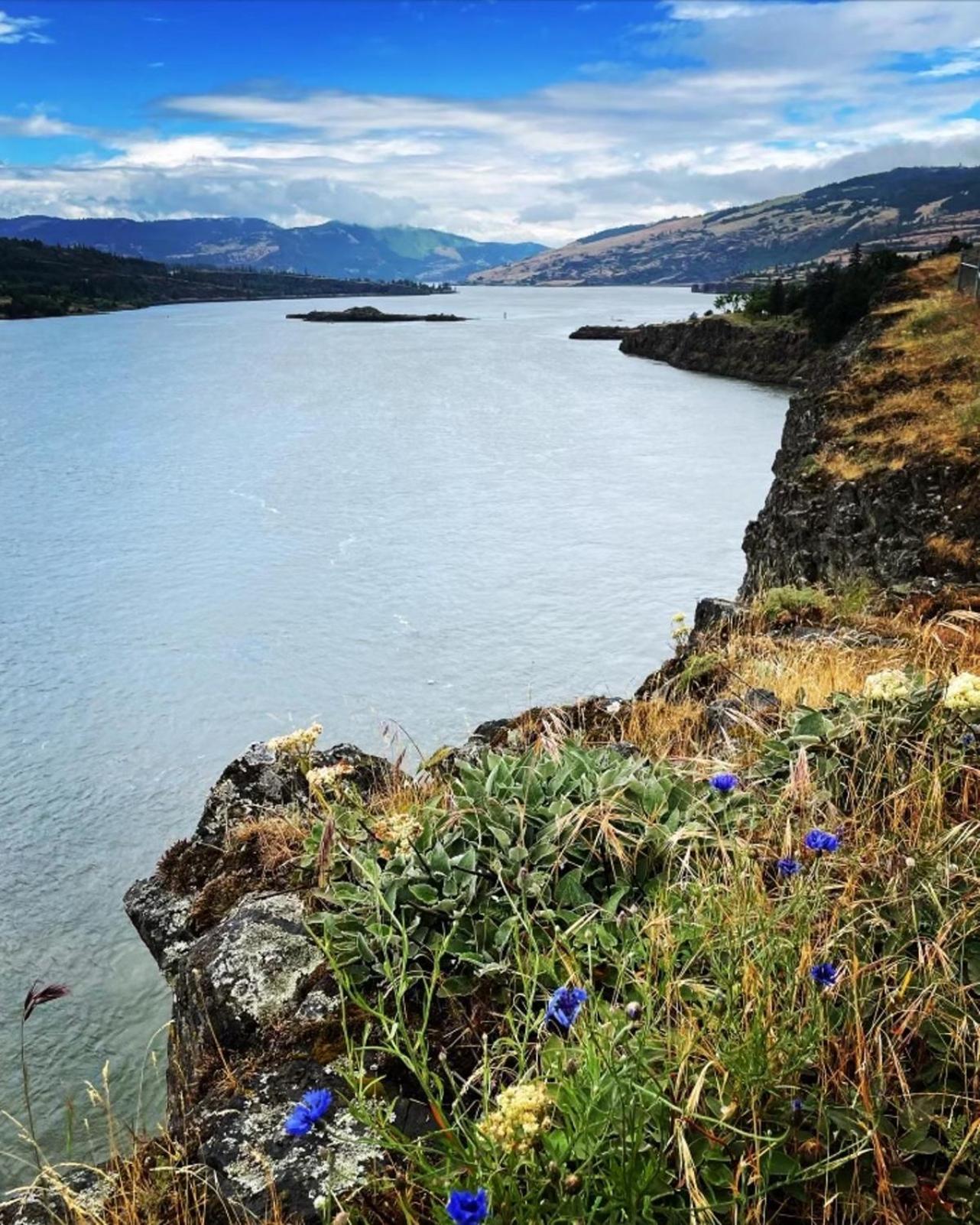 Gorgeous Gateway To The Columbia River Gorge Washougal Εξωτερικό φωτογραφία